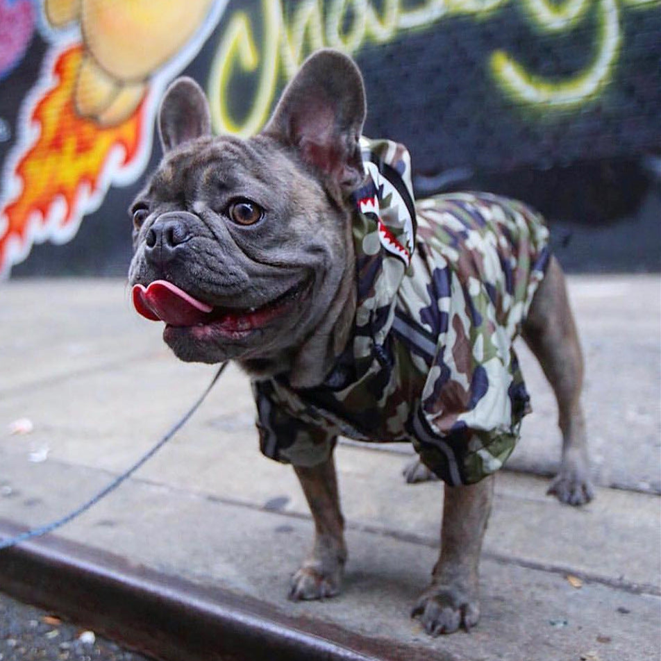 Large Dog Raincoat - Windproof and Waterproof Pet Jacket